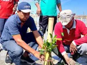 Pelaksana Tugas Camat Bluto Kamiluddin (kiri) mewakili Bupati Sumenep Achmad Fauzi Wongsojudo menanam bibit mangrove di kawasan Pelabuhan Cangkareman, Sabtu (30/08). (Ist).