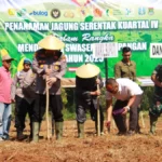 Pejabat Forpimda Sumenep menanam bibit jagung di Desa Ellak Daya Kecamatan Lenteng, Rabu (8/10). (Ist)