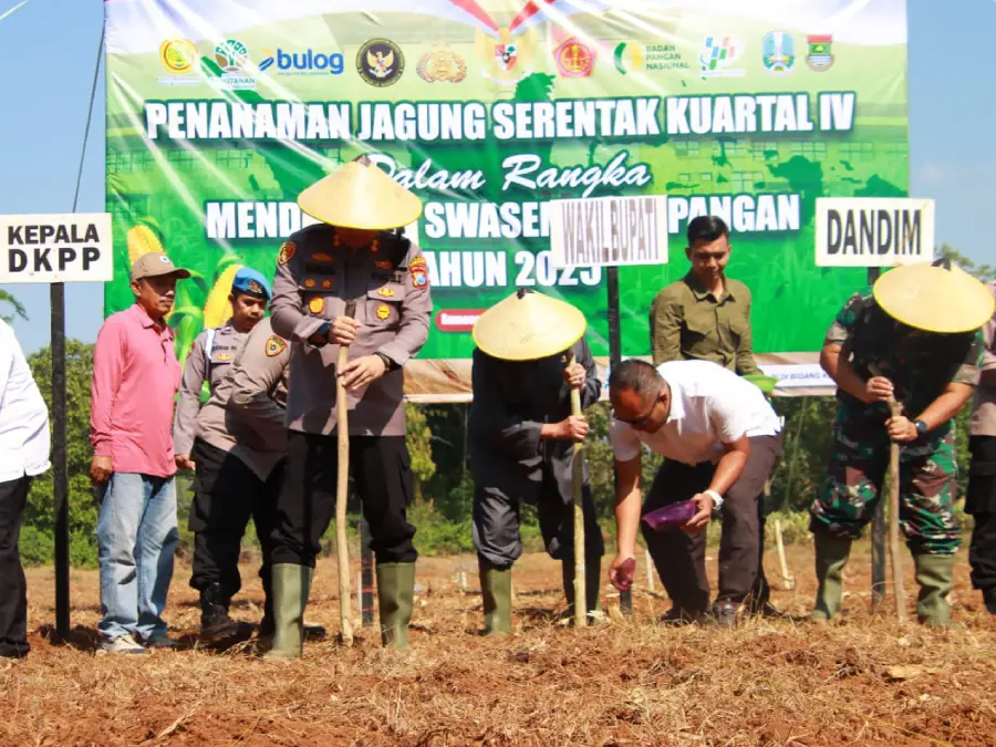 Pejabat Forpimda Sumenep menanam bibit jagung di Desa Ellak Daya Kecamatan Lenteng, Rabu (8/10). (Ist)