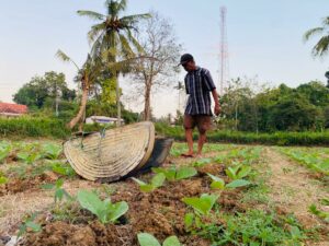 Seorang petani di Desa/Kecamatan Guluk-Guluk menyirami tanaman tembakaunya. (Foto Moh Junaidi)