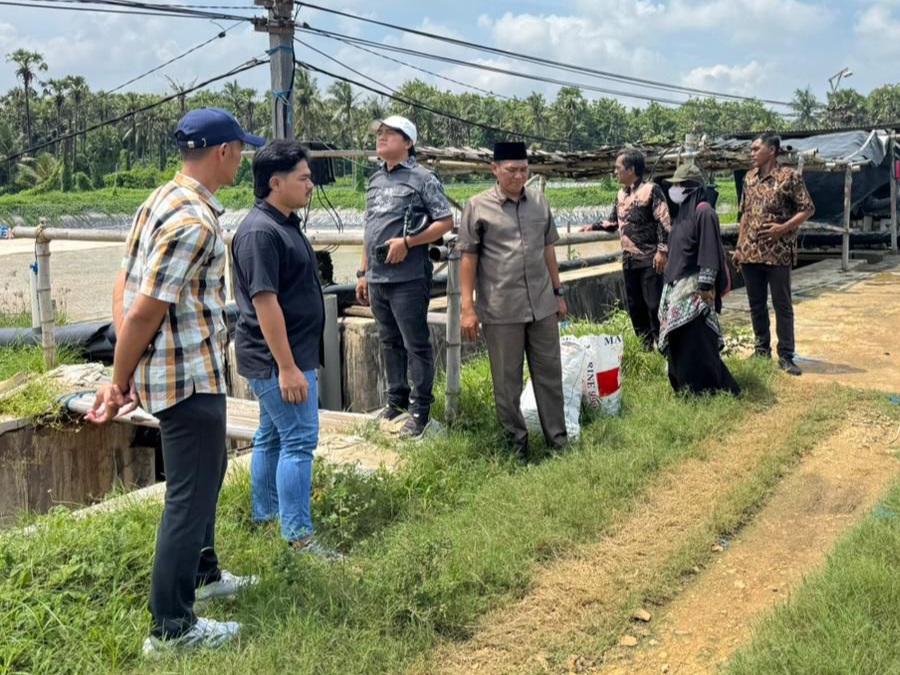 Pansus Tambak Udang DPRD Sumenep melakukan sidak di Dasuk, Kamis (11/12). (Ist)