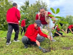 Ketua DPC PDI Perjuangan Sumenep Achmad Fauzi Wongsojudo (bertopi) menanam bibit pohon di kawasan TPAST Desa Torbang Kecamatan Batuan, Jumat (16/1). (Ist)